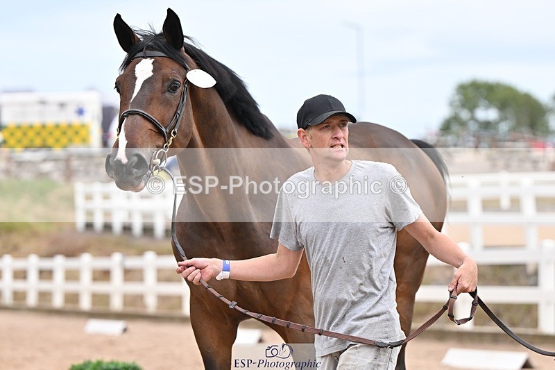 250716-152505-01924 - Trot Up 2.30 to 3.30