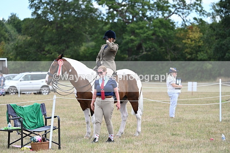 WJ7_5706 - Class 12 Ridden Cob