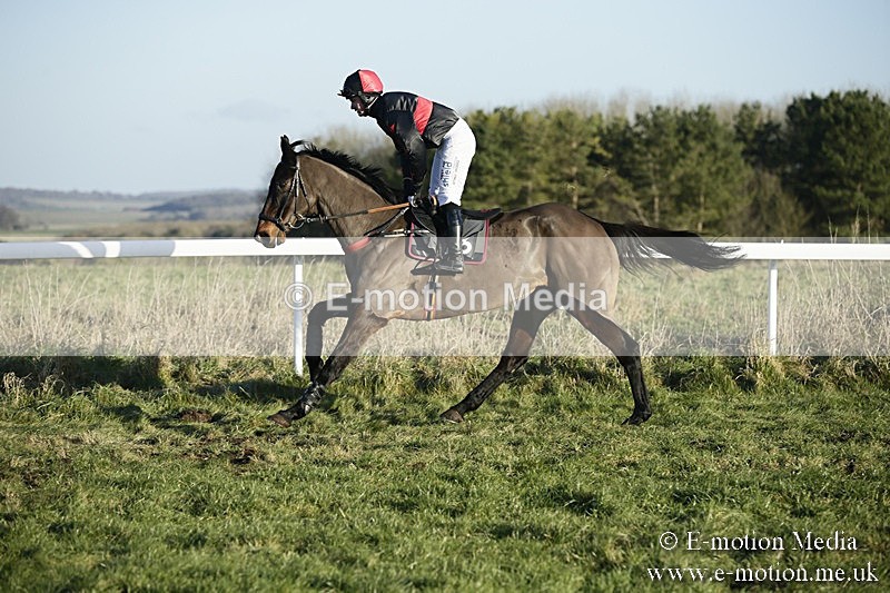 PtP 070118 -495 - Larkhill Racing Club Point to Point Larkhill 07/01/2018