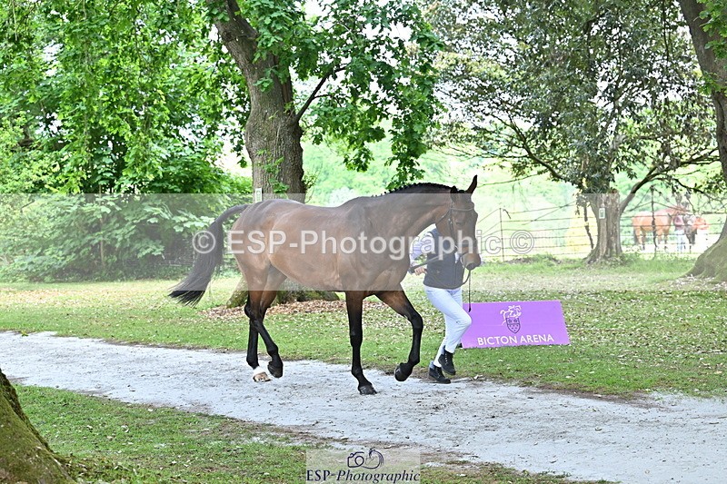 250521A-152108-00440 - B-308-Jeanette.Brakewell-COUGAR.MAIL