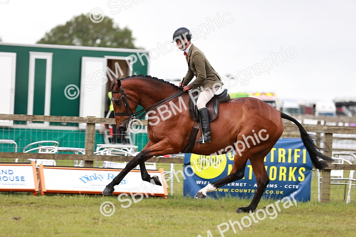 SBM_10794 - Class 81-84 - RIHS Ridden hunters Inc Ladies Hunter