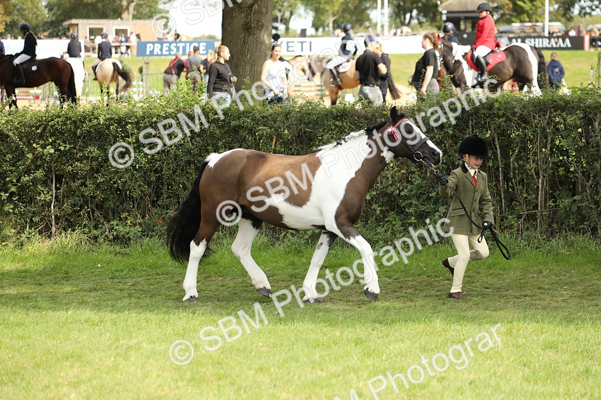 SBM_67728 - S39 - Junior Handler 8  Years & Under