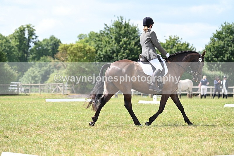 WJ7_4797 - Time 11:22 to 11:51