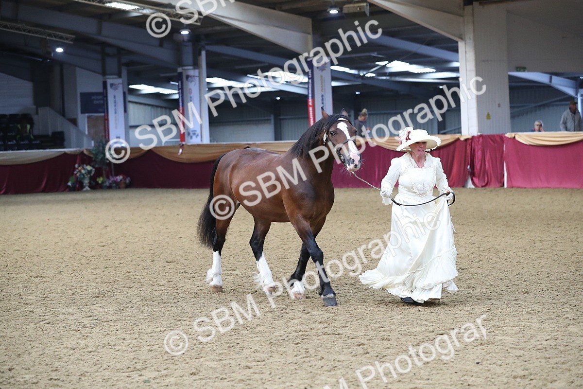 SBM_10776 - Class 103 IH Costume