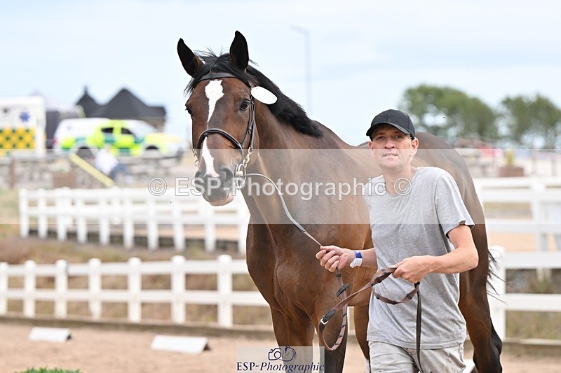 250716-152504-01922 - Trot Up 2.30 to 3.30