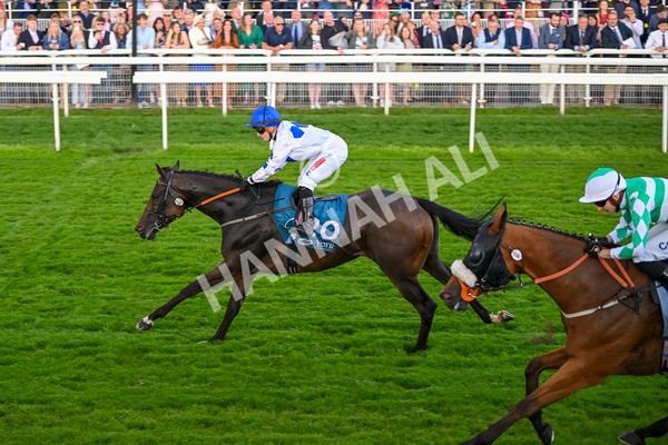 260724-Race 4-Dicko The Legend-5246 - Race 4 7.15pm Tomahawk Restaurants Handicap