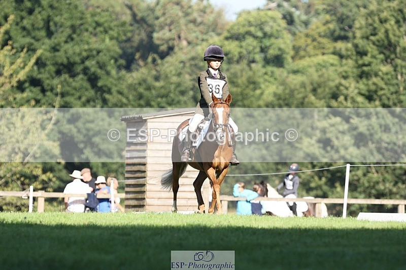 250823A-091823-25914 - Arena D