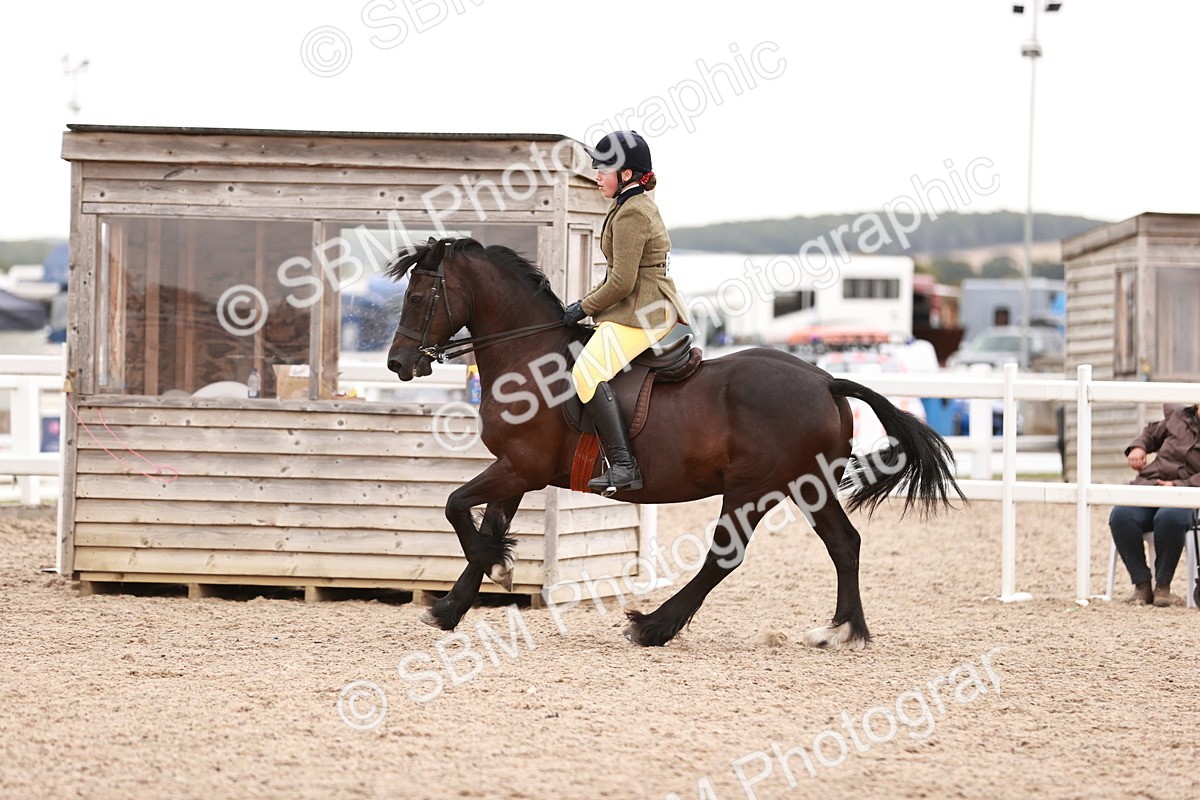 SBM_19060 - Class 422 - Ridden M&M