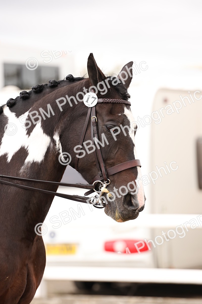 SBM_02935 - Class 53 - Ridden Competition Horse/Pony