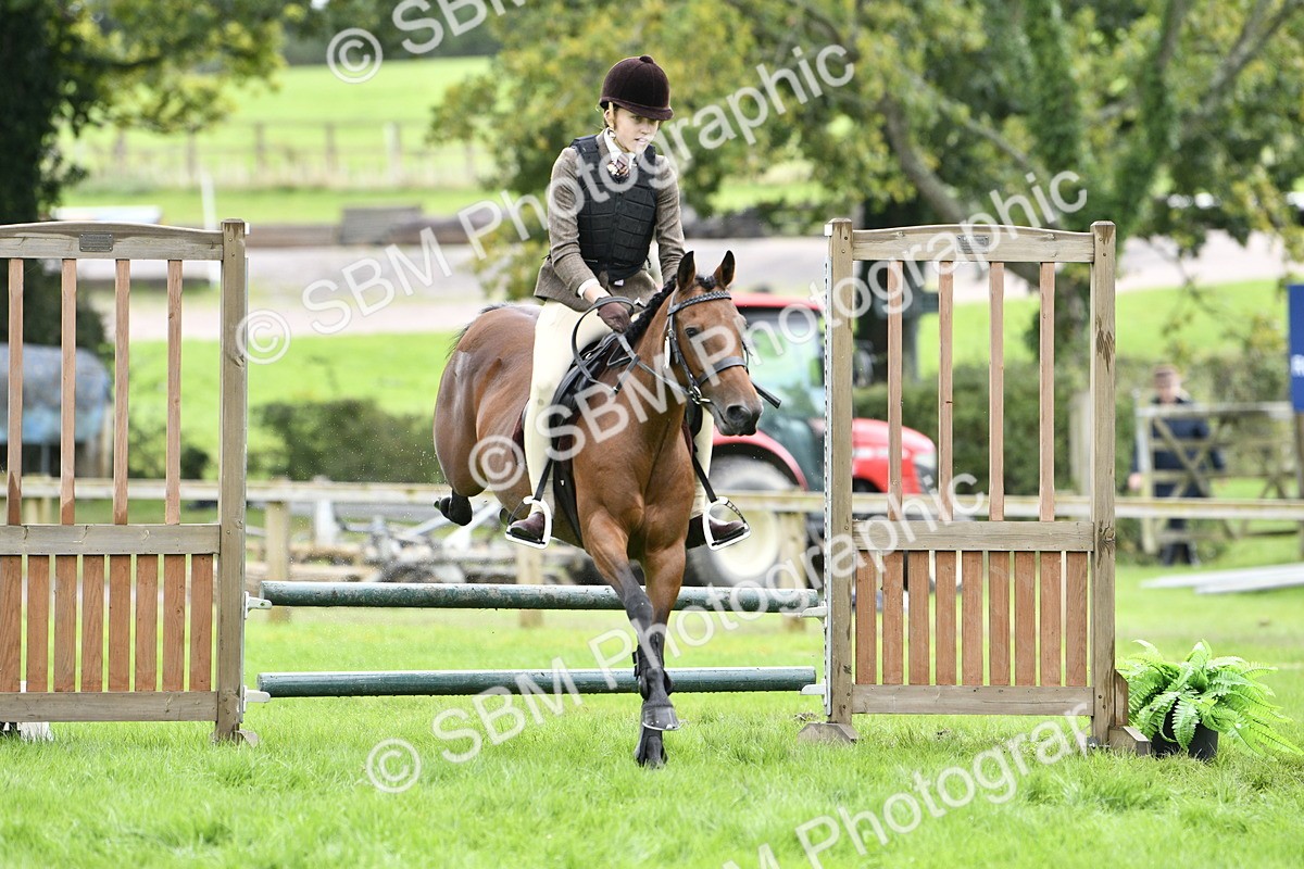 SBM_45610 - S33 - Working Hunter Pony