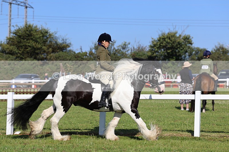 IMG_1491 - Class 30: Ridden Native/Trad Coloured Pony
