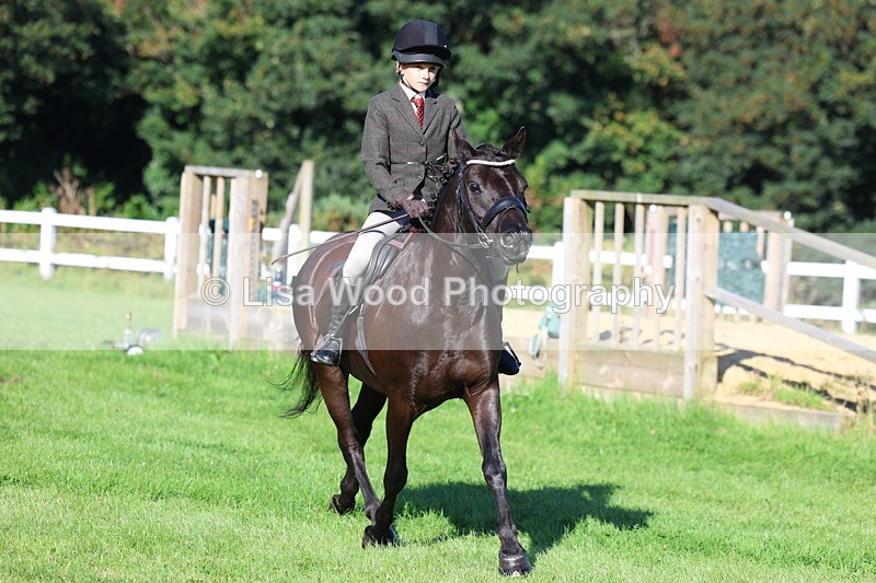 3E7A7632 - Class 1: Novice Working Hunter Pony
