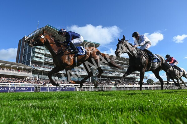 yr08102022r3-32 - Race 3 2.40pm The Coral 'Beaten-by-a-Length' Free Bet Handicap