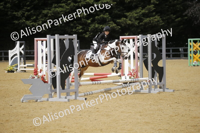 20250622-4126 - 50cm