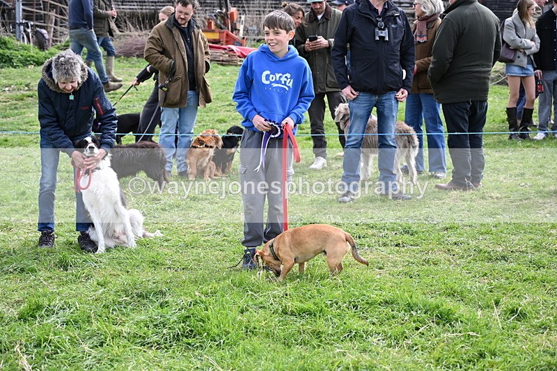 WJ6_8625 - Class 6 Best Rescue