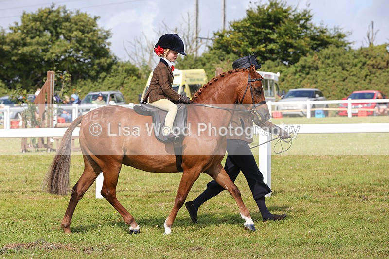 1X9A3620 - Class 29: Lead Rein SP/SHP