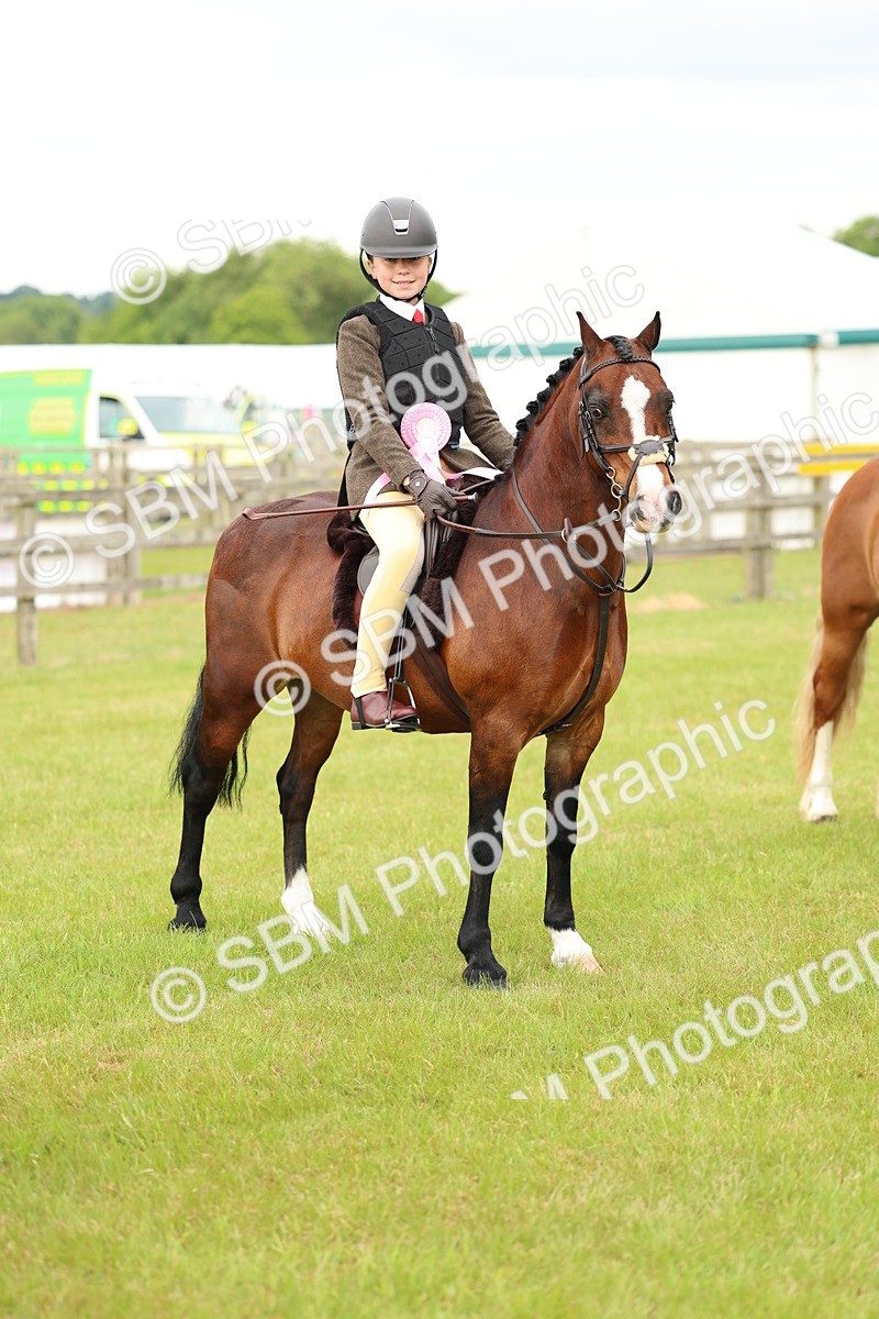 SBM_10416 - Class 44-45 - LIHS BSPS Open Nursery and Cradle Stakes