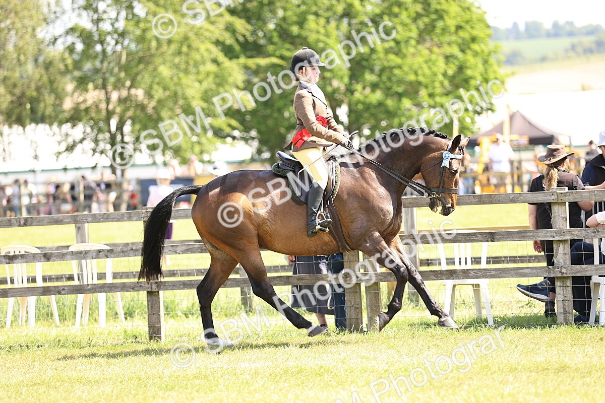 SBM_13076 - Class 75-76 LIHS BSHA Rising Star Hack Riding Horse