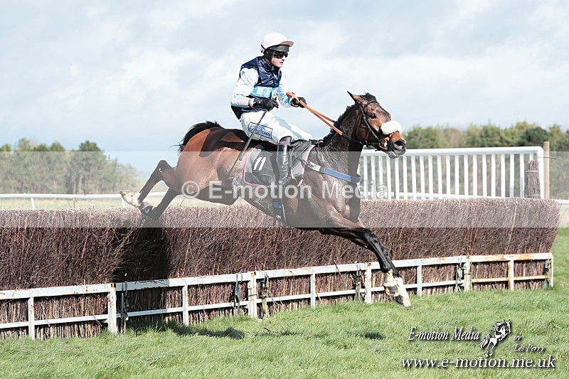PtP 230324 285 - Tedworth Hunt PtP Larkhill Raccourse 23rd March 2024