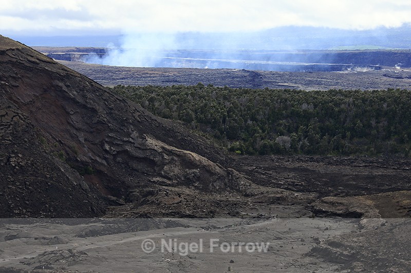 Kilauea Iki Crater Trail, Hawaii - Hawaiian Islands, USA