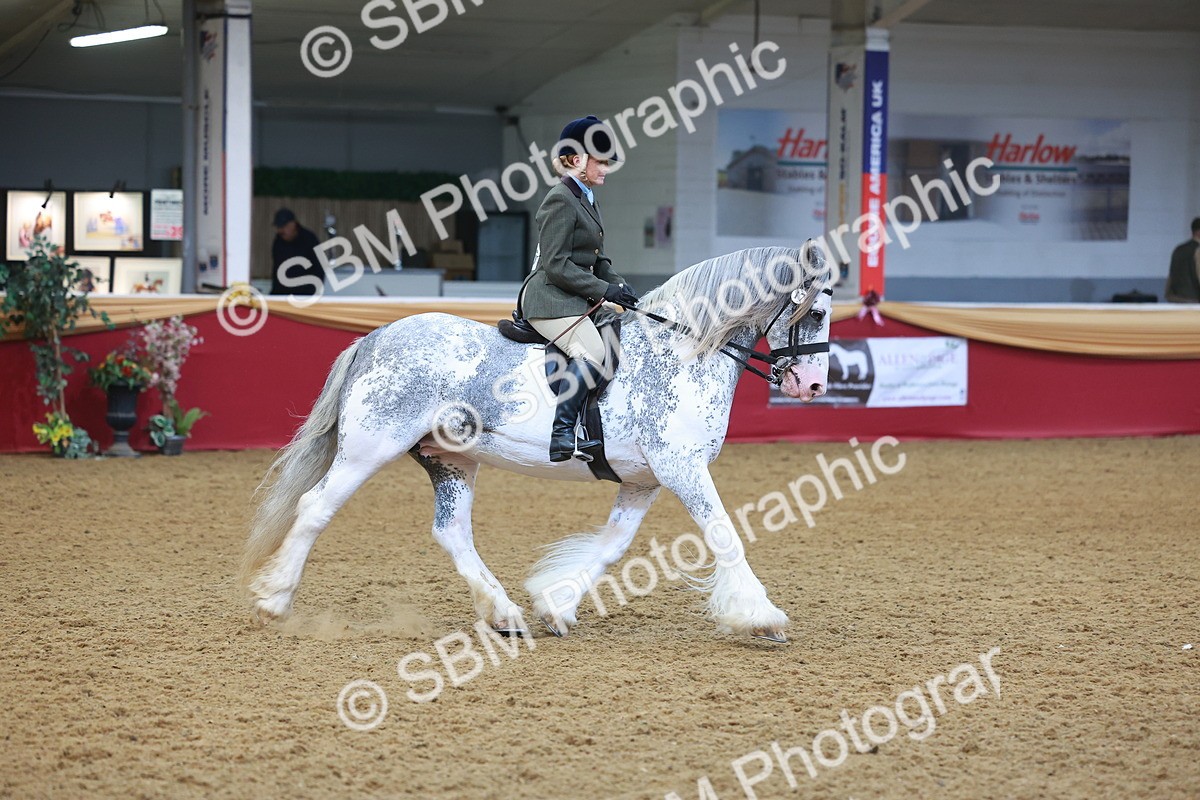 SBM_12601 - Class 103 - HOYS Veteran Qualifier - Ridden Pre Vet