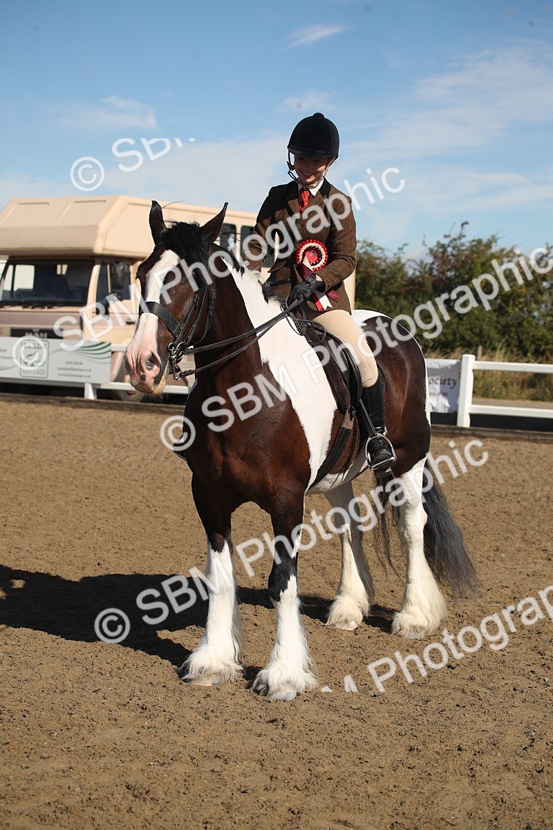 SBM_12778 - Class 504b - Junior Working Veteran - 40cm (20+)