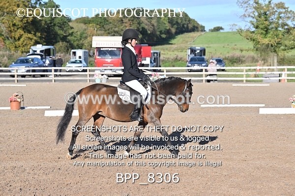 BPP_8306 - LONG ARENA
