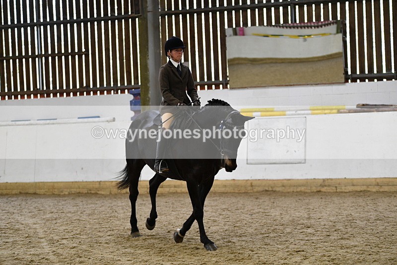 WJ5_6207 - Class 9 Ridden Veteran