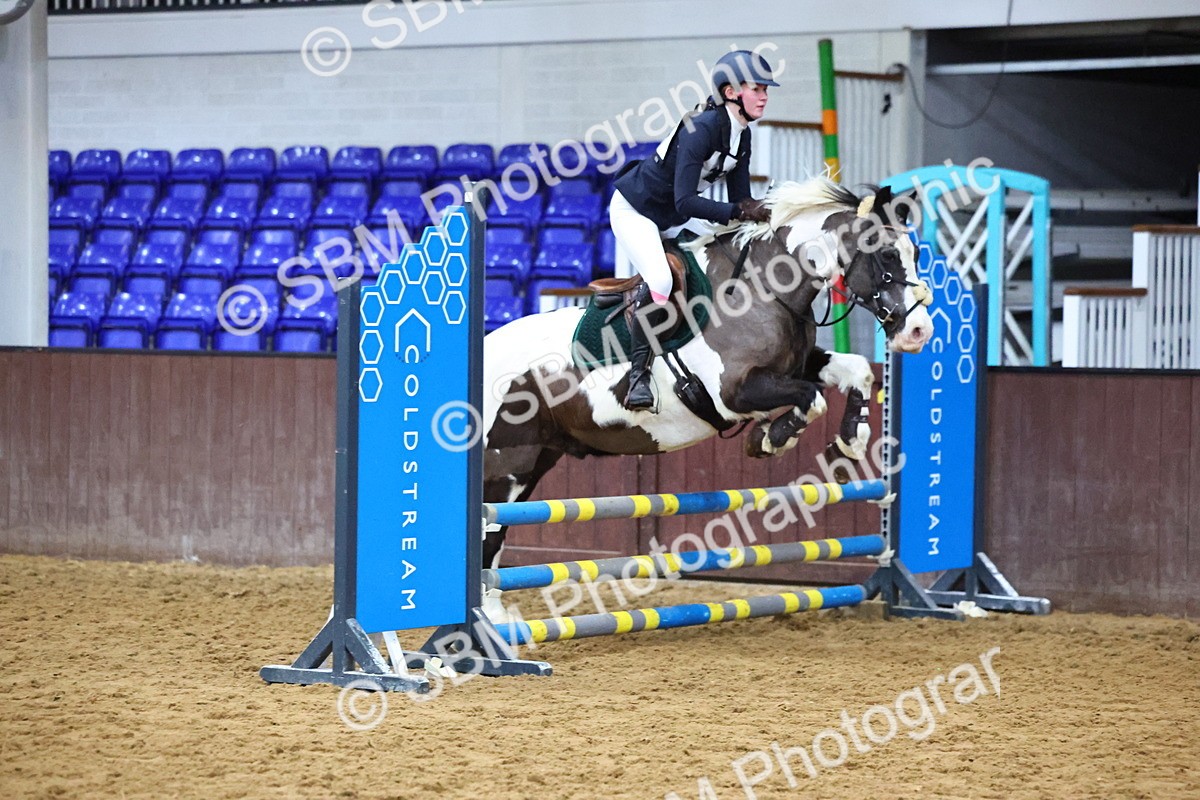 SBM_001338 - Class 3 - Christmas Tree Stakes - 60cm