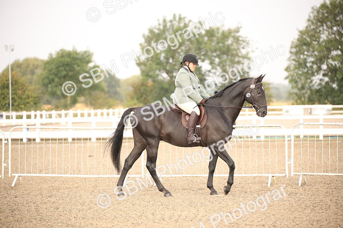 SBM_10190 - Class 402 Riding Club Horse