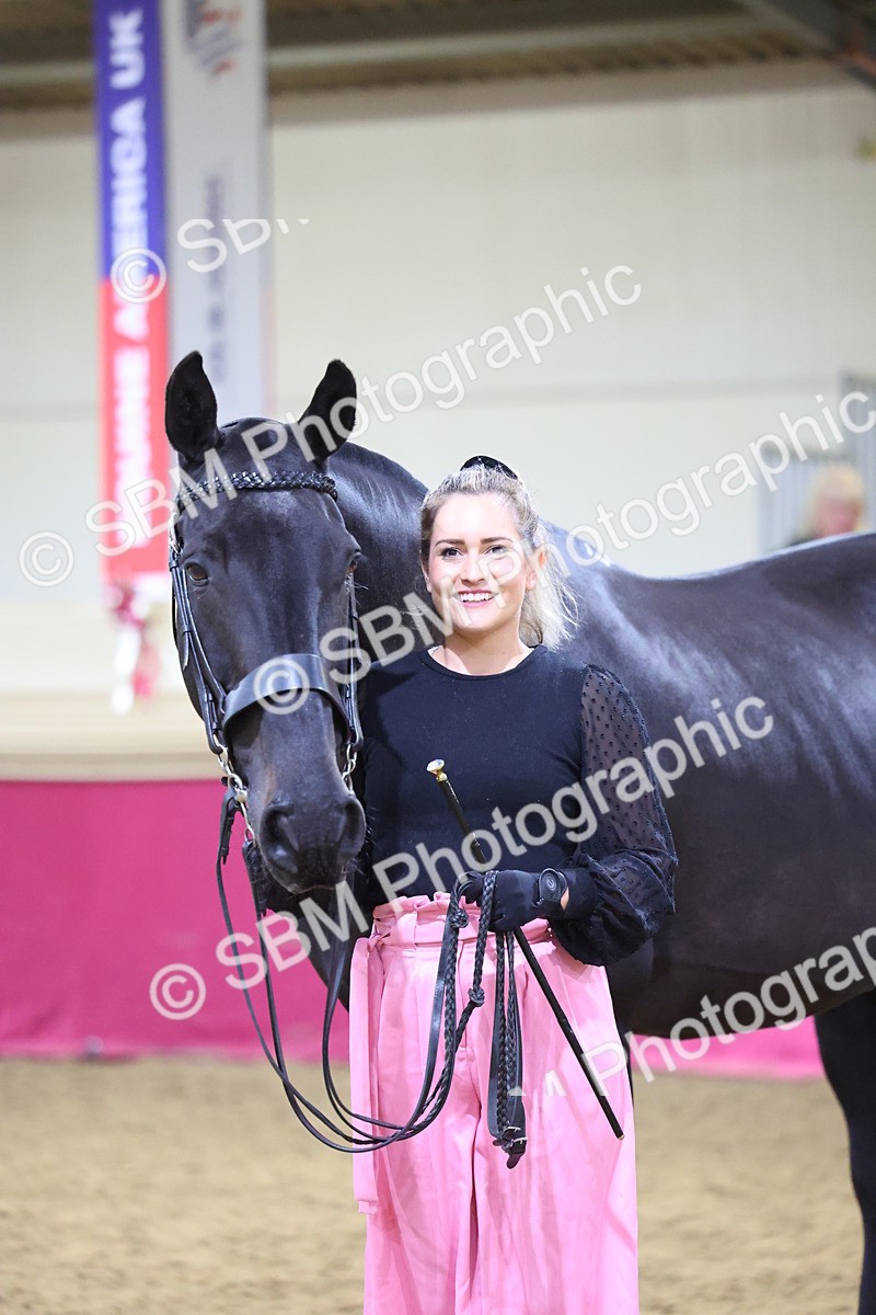 SBM_19161 - Class I Competition/ Riding Club Champ