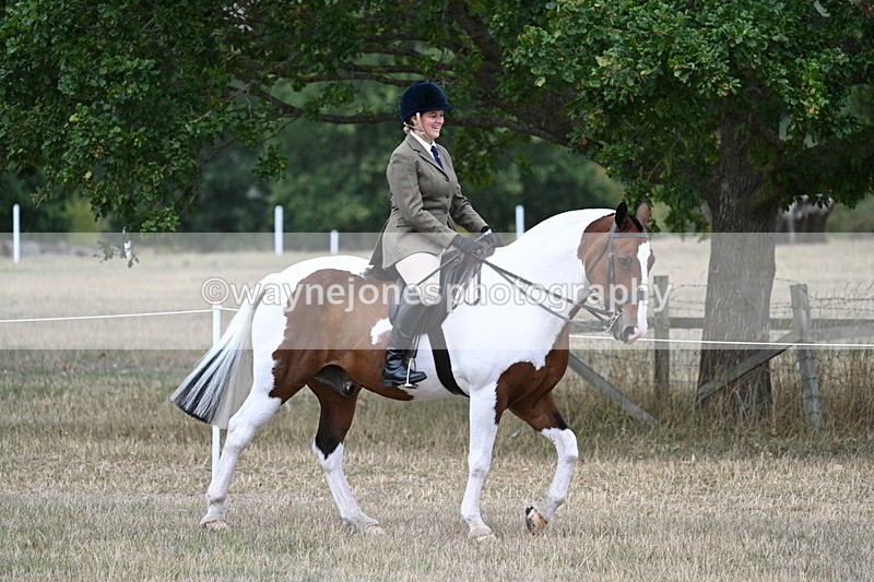 WJ7_5390 - Class 12 Ridden Cob