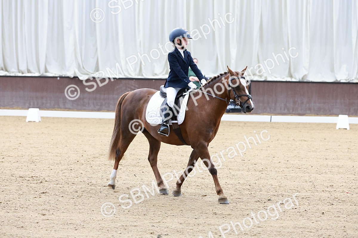 SBM_003151 - Intro 2