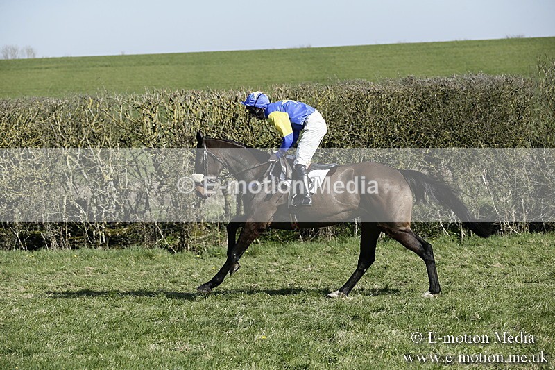 PtP 250317 196 - V.W.H. Hunt Point-to-Point Siddington 25/03/17