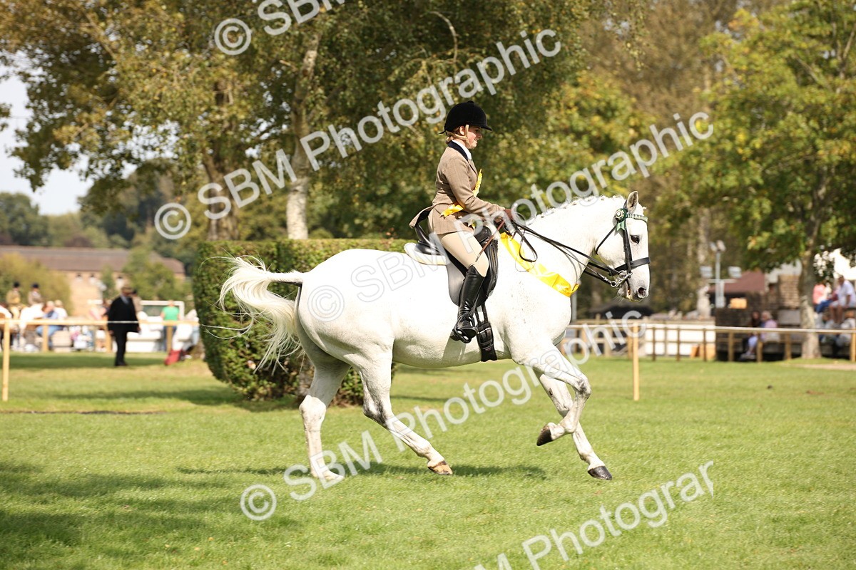 SBM_66002 - S64 - Riding Horse & Hack & Thoroughbred Ridden