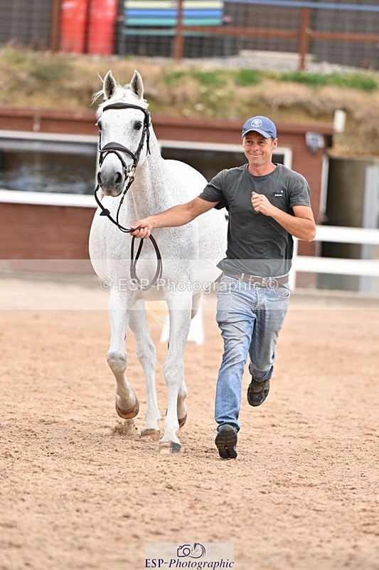 250716-152322-01904 - Trot Up 2.30 to 3.30