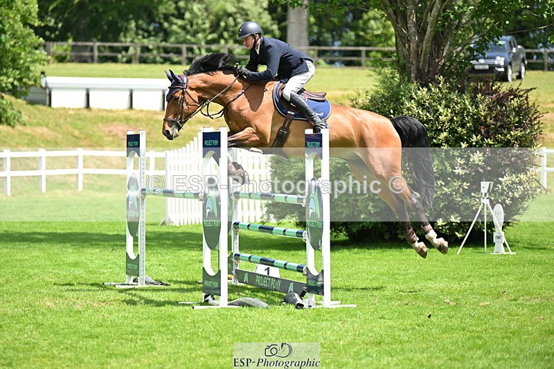 250614A-135056-06984 - Cls 20 Foxhunter