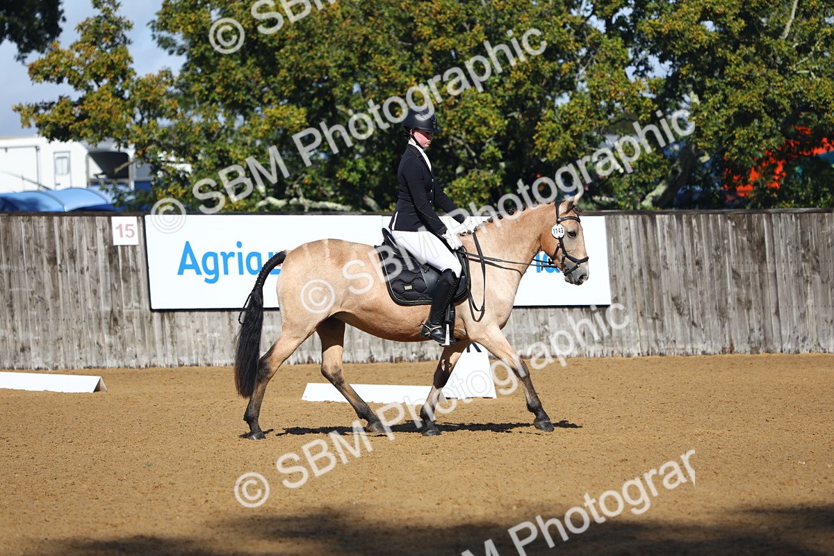 SBM_38980 - D21 - Junior Championship Intro 1