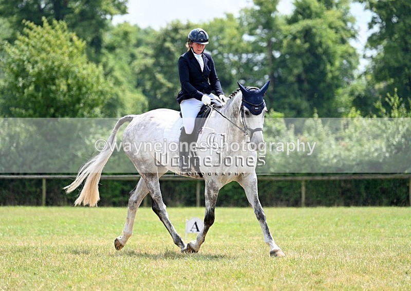 WJ7_7367 - Area 6 Summer Dressage at BCA - 15-06-25