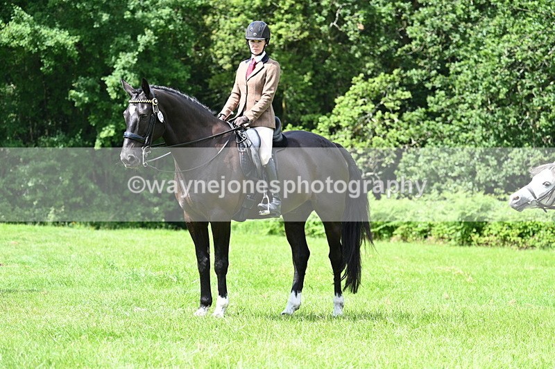 WJ7_1324 - Class 11 Condition & Turnout