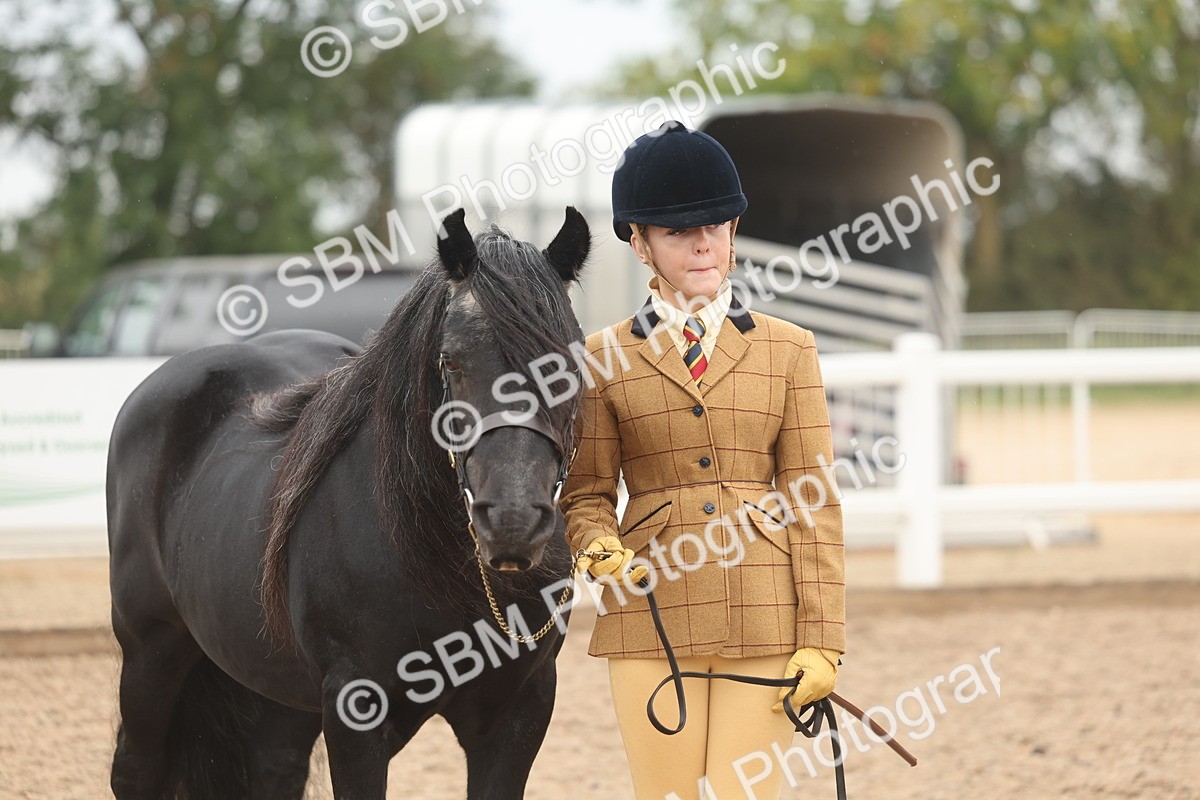 SBM_00547 - Class 13 Young Handler