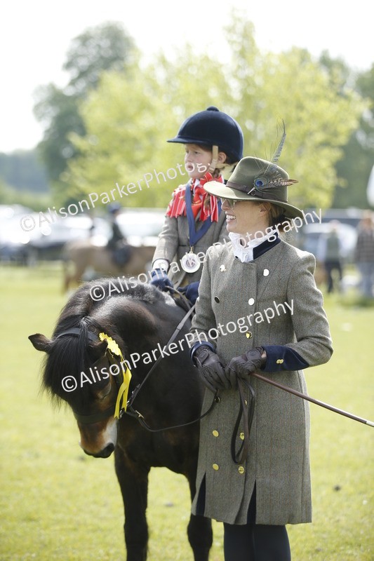 20260426-1895 - Class 7 - Pony Judge Would Most Like To Take Home