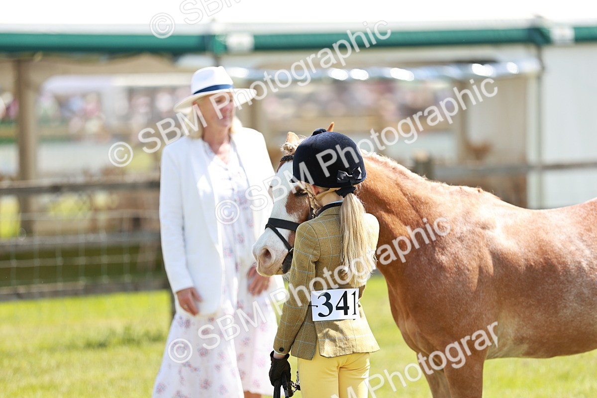 SBM_13629 - Class 108-109 - BSPS LIHS Open Gradle & Nursery Stakes