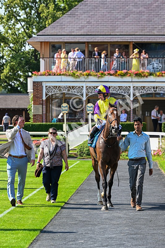 100726-Race 5-Dark Moon Rising-0493 - Race 5 16.30pm Azets Handicap