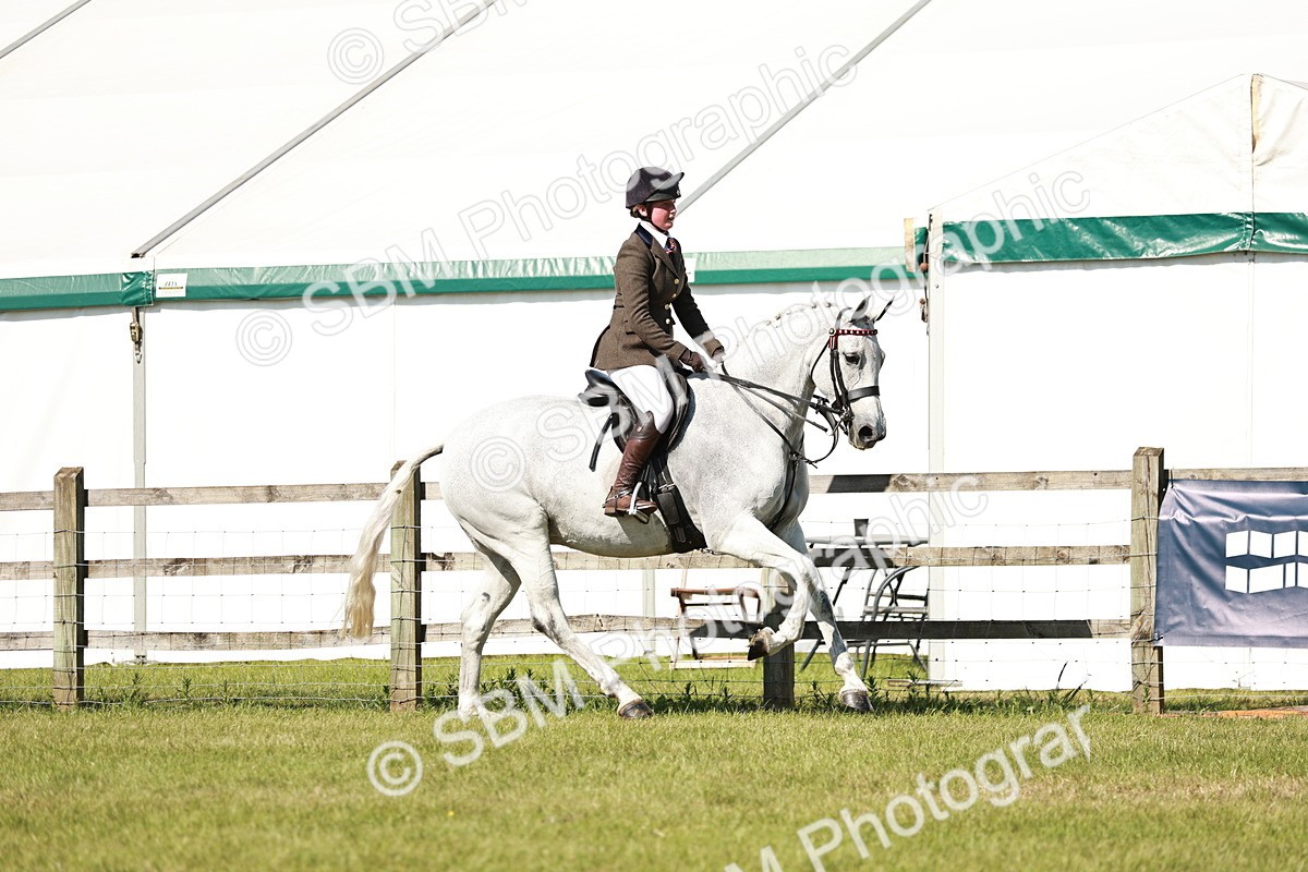 SBM_18878 - Class 114 - RIHS & SEIB Open Working Show Horse
