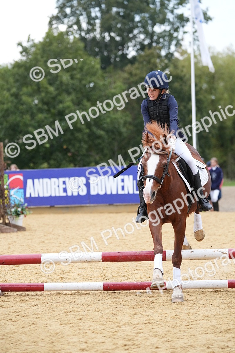 SBM_74580 - J4 - Mini Tour Junior Pony 45cm Championship