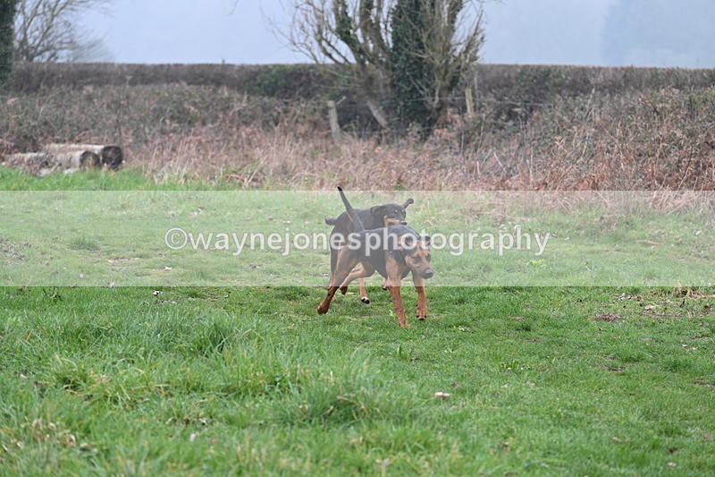 WJ7_0286 - Line 2 cam A