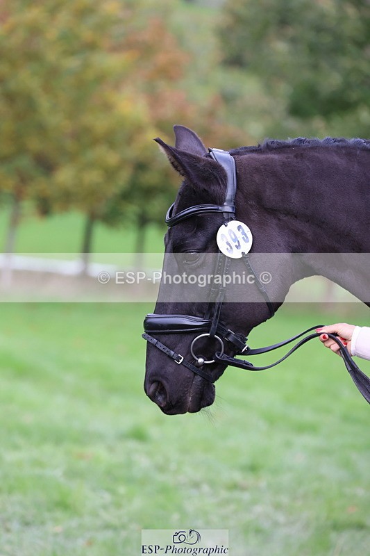 251026A-103511-23122 - E-393-Saskia.Rioux