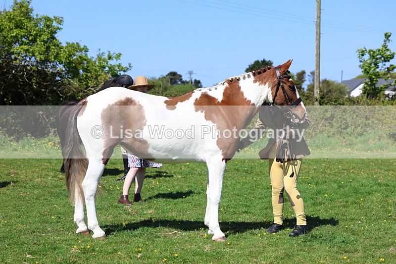 3E7A9903 - Class 17: Young Handler