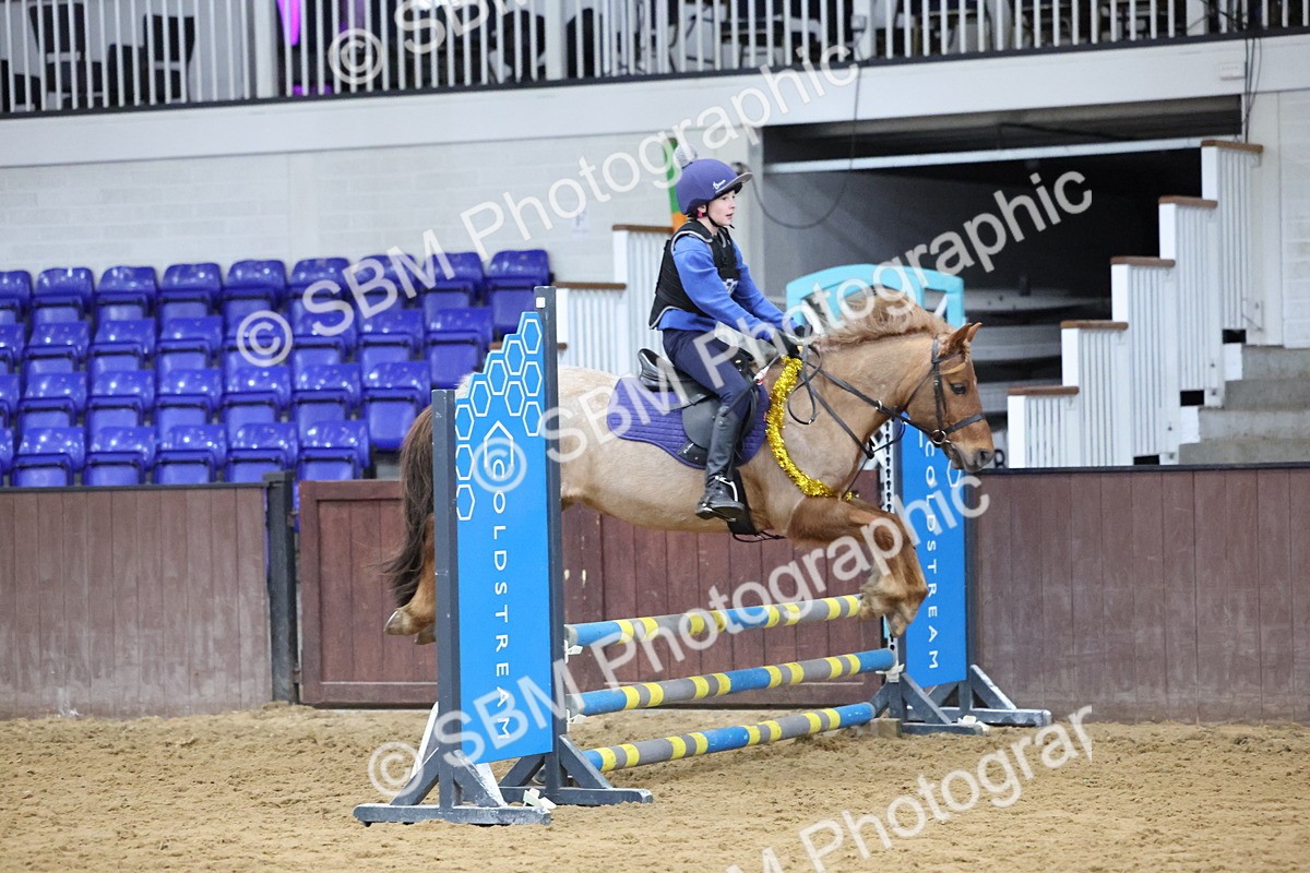 SBM_001090 - Class 3 - Christmas Tree Stakes - 60cm